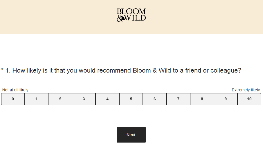 Bloomandwild Feedback