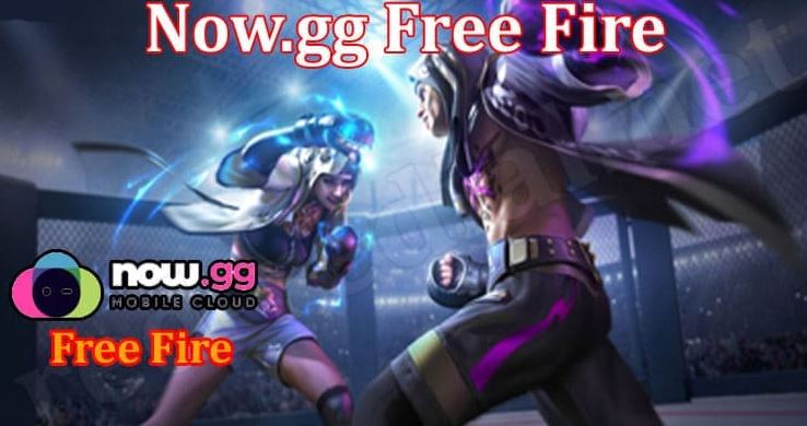 cover of now.gg Free fire