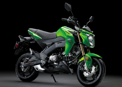 Kawasaki Z125 Pro Top Speed Specs And Price 2023