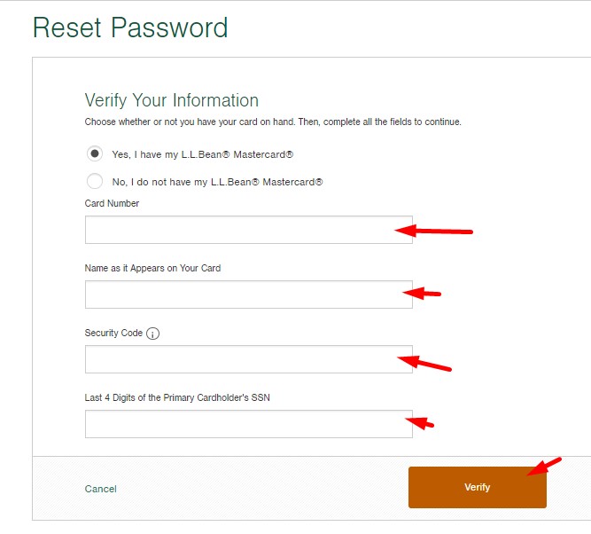 Password recovery how can I get it back steps