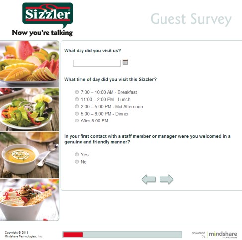 Sizzler Customer Experience Survey detail