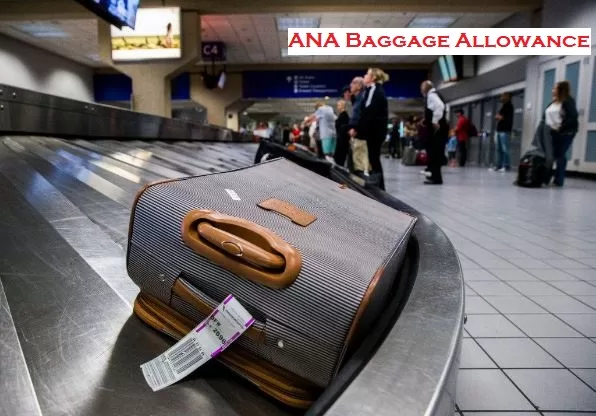 A Comprehensive Guide to Ana Baggage Allowance 2024
