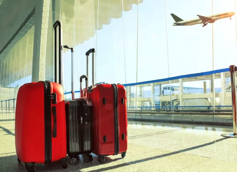 Air India Allowed Baggage: Everything You Need to Know 2024