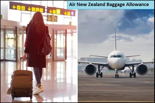 Air New Zealand Baggage Allowance 2024❤️