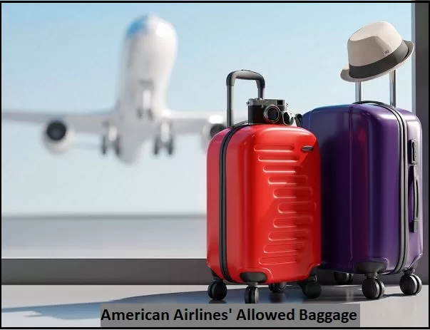 American Airlines' Allowed Baggage,,