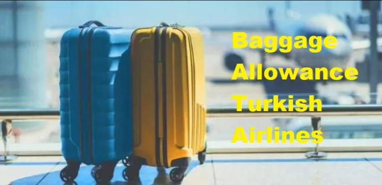Baggage Allowance Turkish Airlines 2024: Fees & Policy