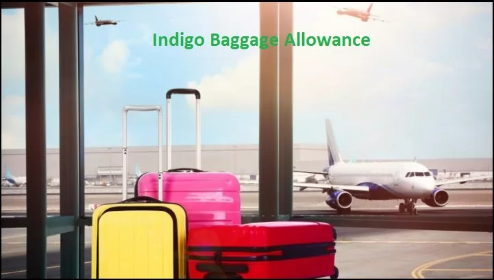 Indigo Baggage Allowance.