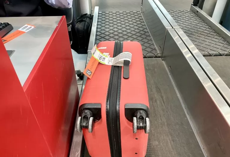 Lufthansa Baggage Allowance: Know Before You Fly 2024
