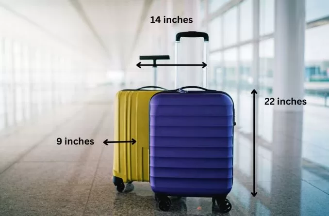 delta first class baggage Size