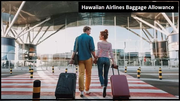 Hawaiian Airlines Baggage Allowance 2024❤️