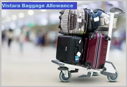 vistara baggage allowance