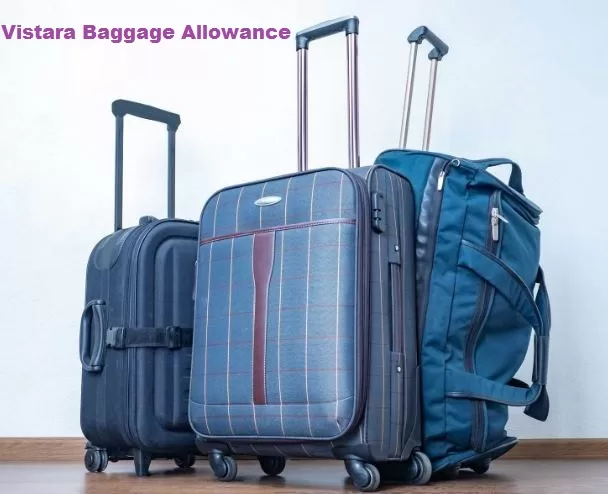 A Comprehensive Guide to Vistara Baggage Allowance 2024