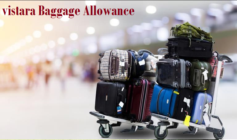 vistara baggage allowance