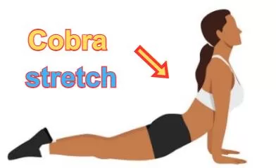 Cobra stretch